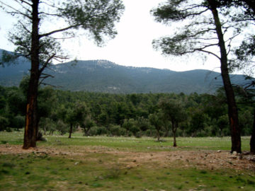 DSC01730